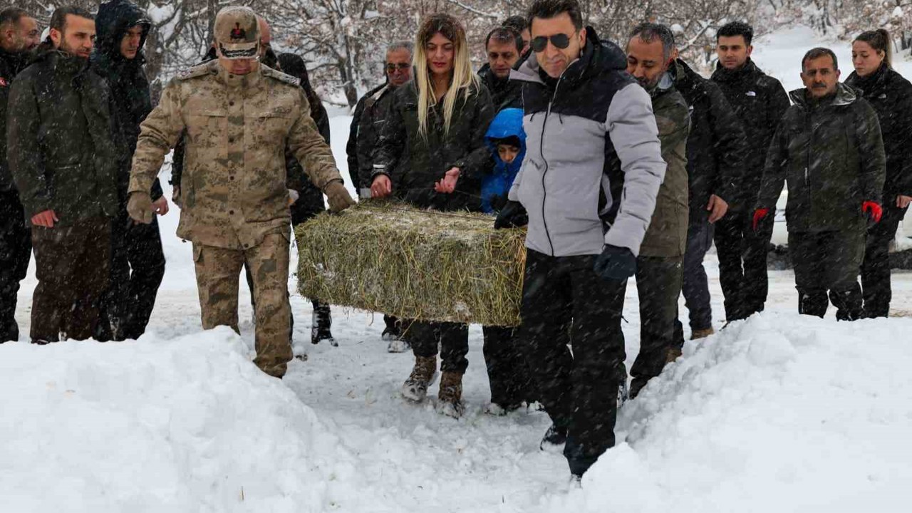 Vali Aygöl, yaban hayvanları için kolları sıvadı
