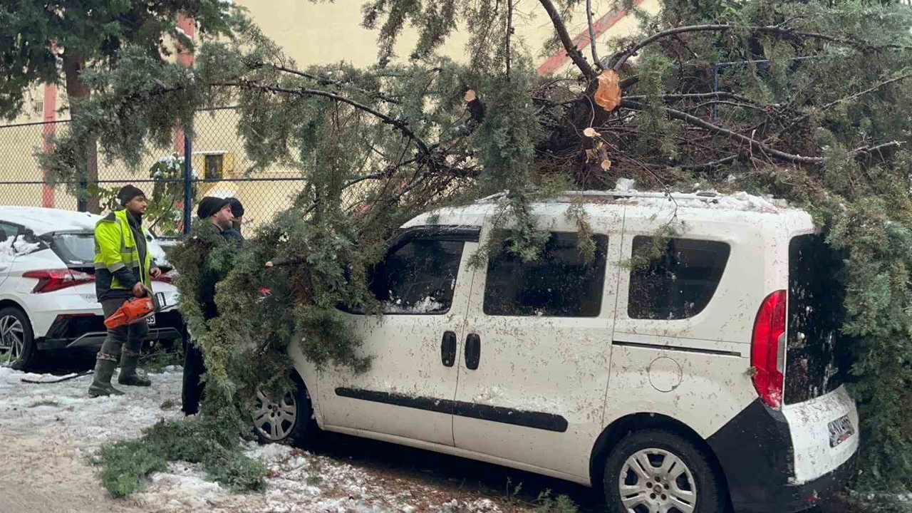 Kökünden sökülen ağaç park halindeki aracın üzerine devrildi
