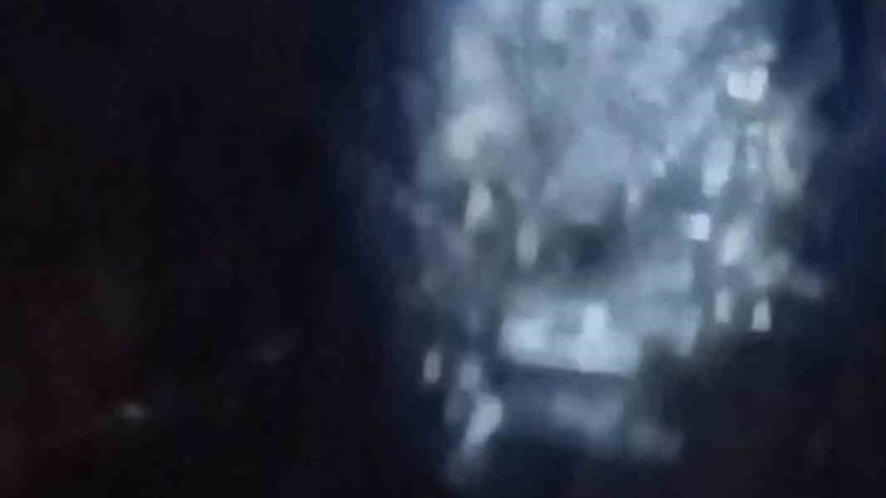 Muş’ta nehir kıyısında su samurları görüntülendi
