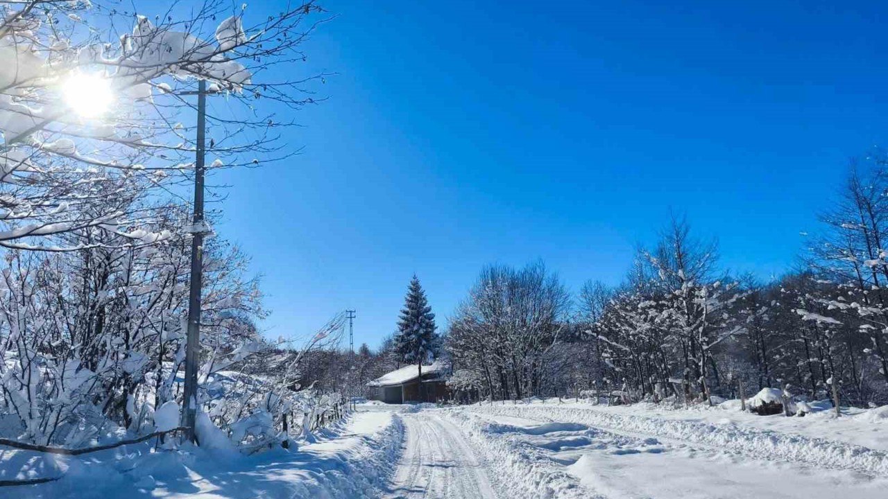 Ordu’nun yüksek kesimlerinde kar manzarası
