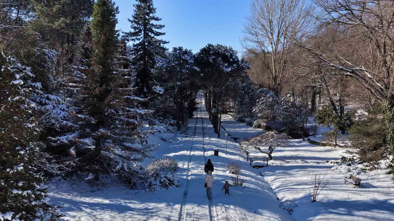 İstanbul’da kar göremeyenler Atatürk Arboretumu’na geldi
