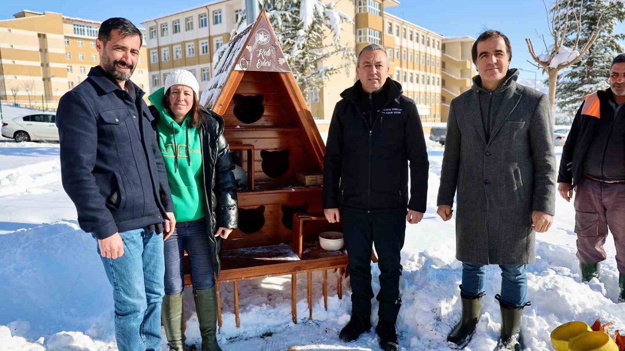Sivas Belediyesi sokak hayvanlarını unutmadı
