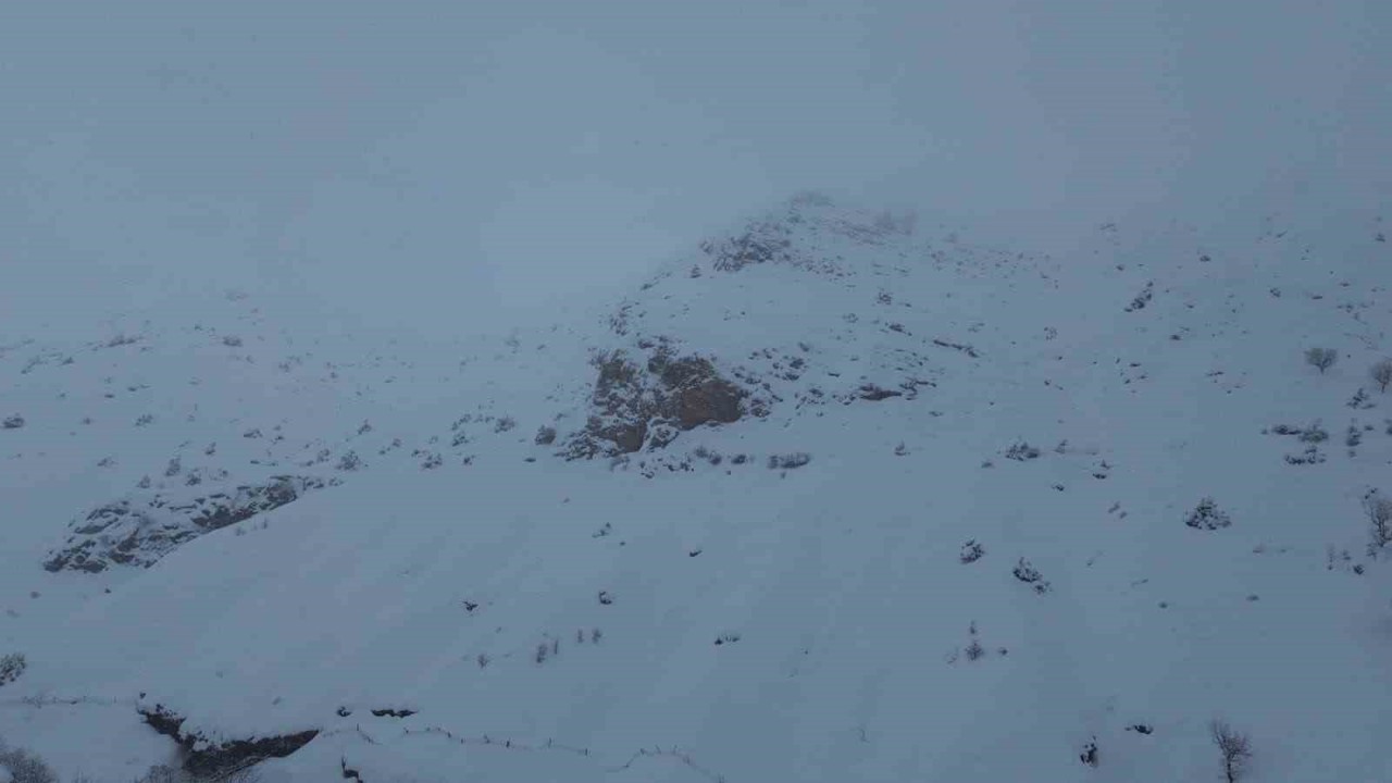 Batman’da ağıla çığ düştü: 45 küçükbaş hayvan telef oldu
