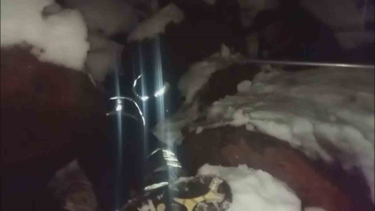 Dondurucu soğukta ölümü bekleyen yavru köpekleri itfaiye kurtardı
