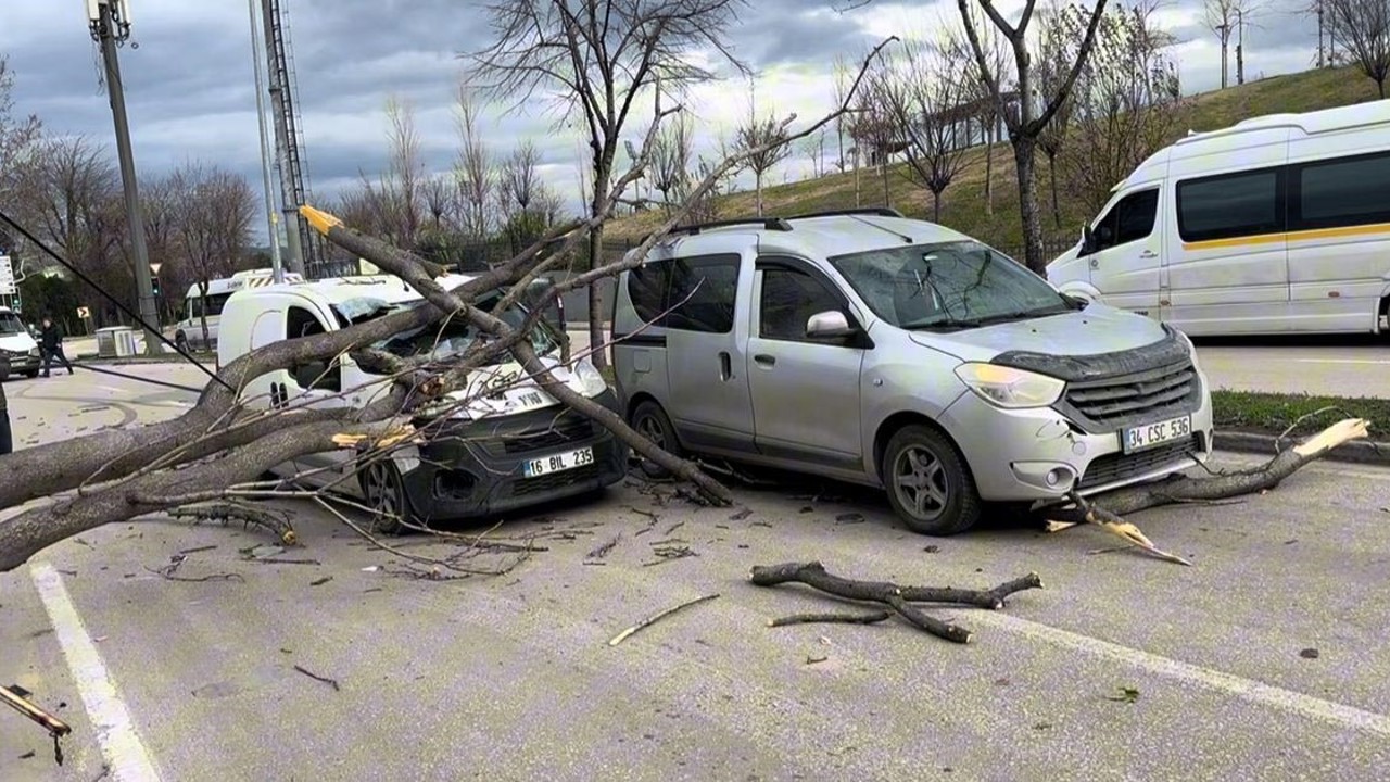 Bursa’da seyir halindeki araçların üzerine ağaç devrildi
