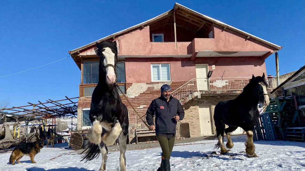 Ankara’da sıra dışı yaşam: Onlarca hayvanla ortak hayat kurdu
