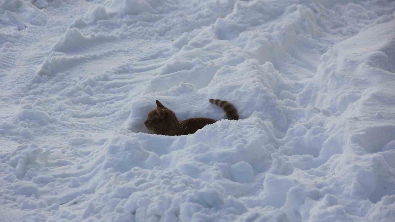 Eski kışlar geri geldi, Kızılırmak’ın yüzeyi kısmen dondu

