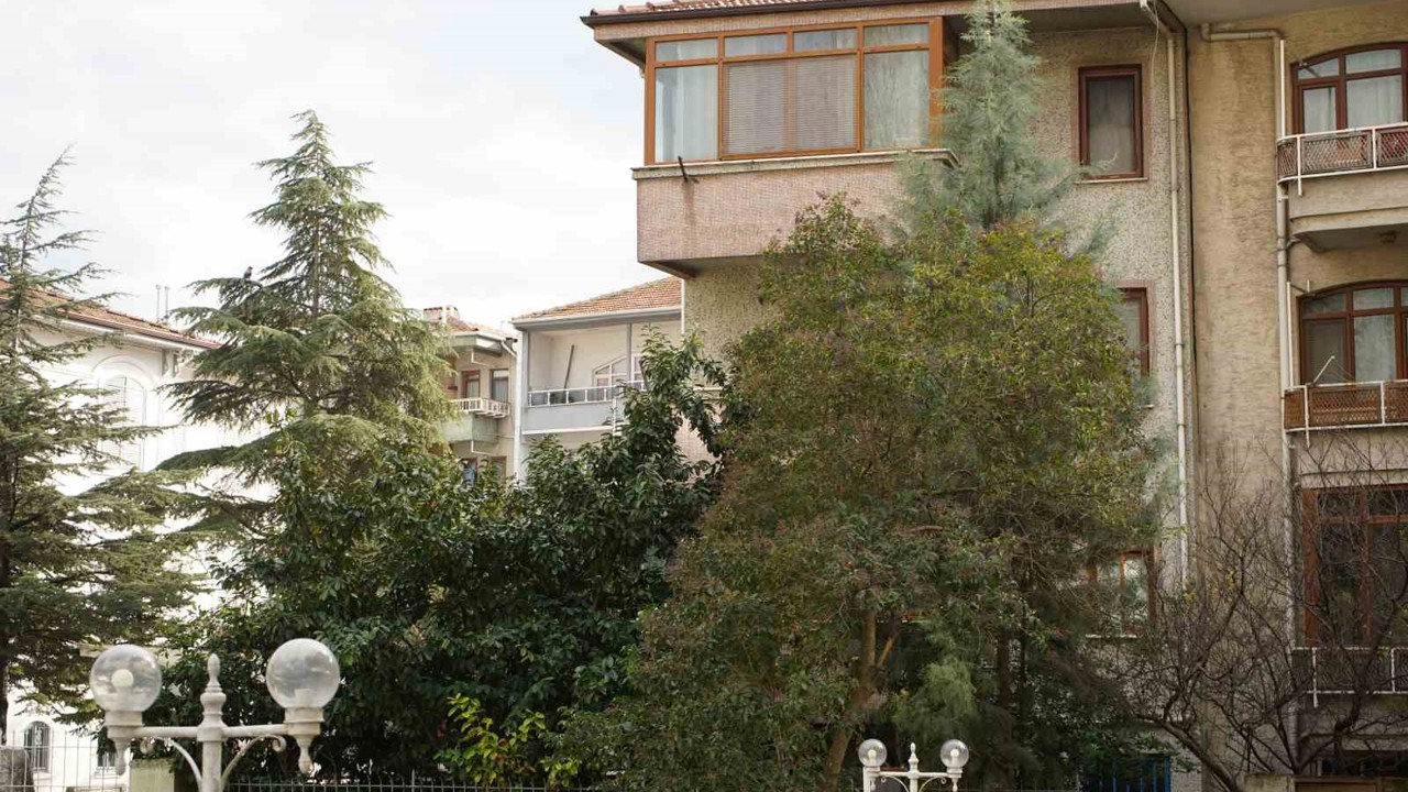 Şiddetli rüzgar hayatı olumsuz etkiledi, bazı ağaçlar devrildi
