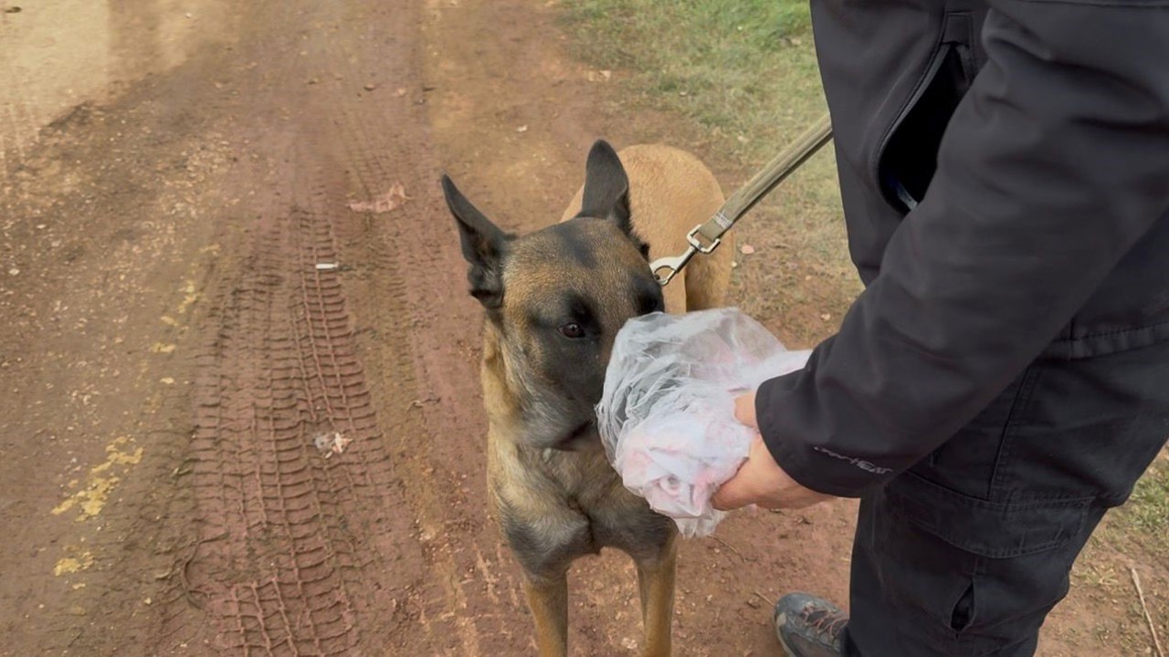 7. gün Kapıdağ’da umut nöbeti sürüyor
