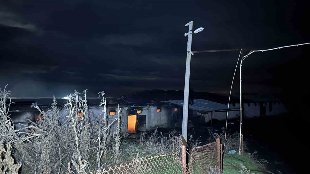 Uşak’ta boş tavuk çiftliğinde çıkan yangın korkuttu
