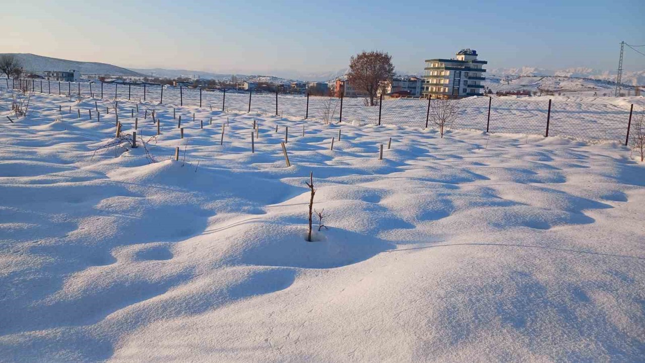 Kulp’ta kar yağışı çiftçiye umut oldu
