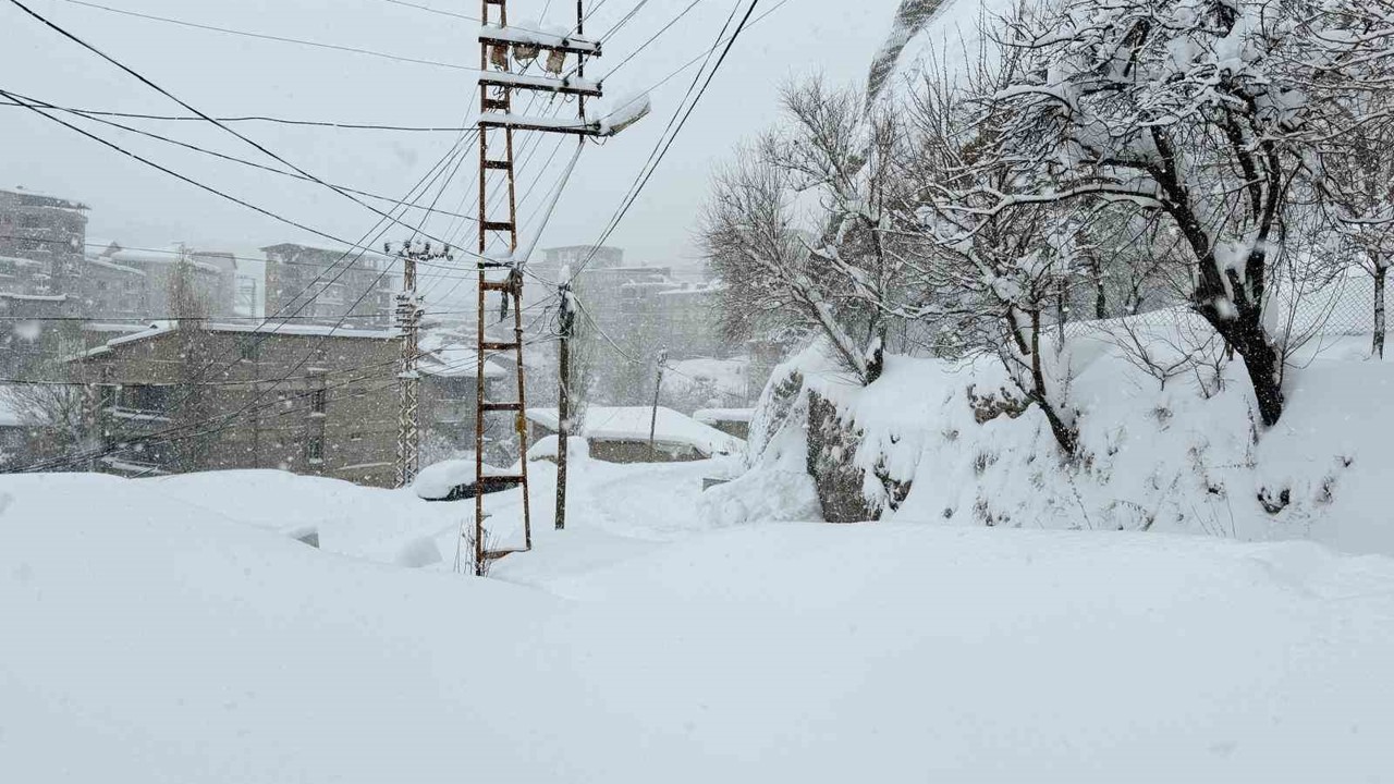Hakkari’de 89 yerleşim yerinin yolu kapandı
