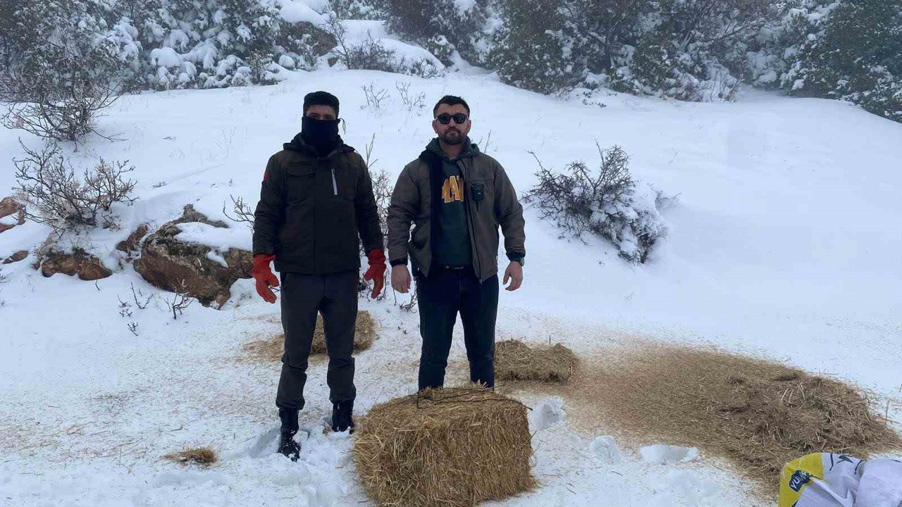 Gaziantep’te karlı havada aç kalan yaban hayvanları için doğaya yem bırakıldı
