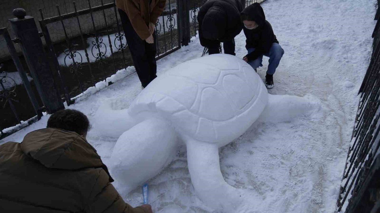 Gümüşhane’de "kardan kaplumbağa" ilgi odağı oldu
