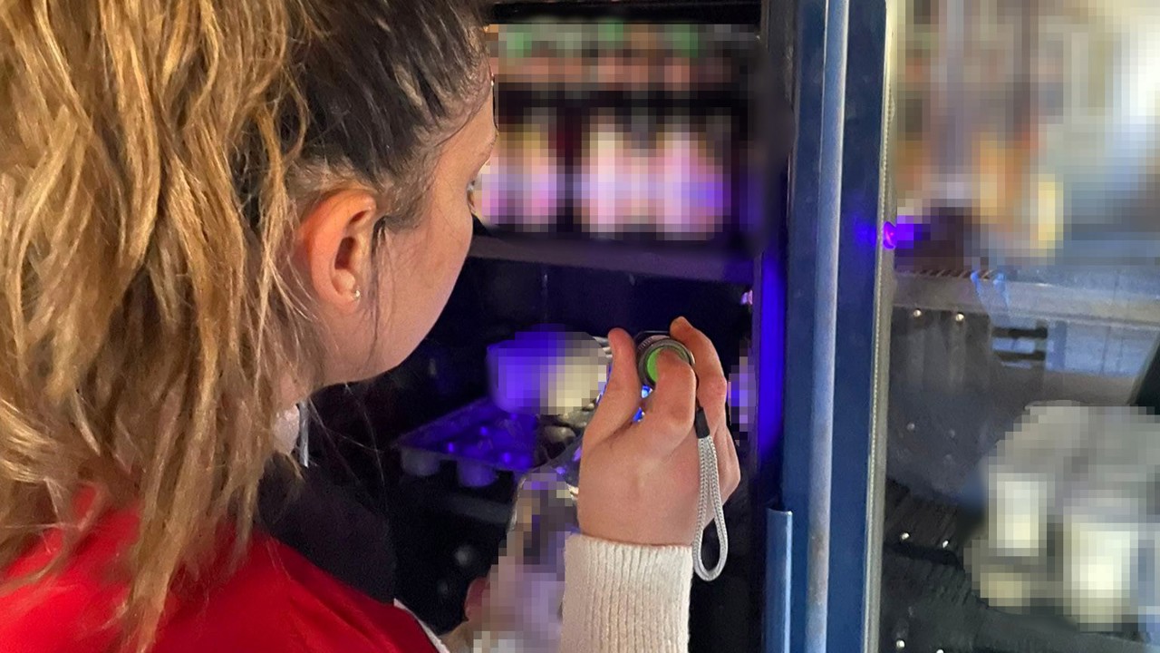 Gıda ürünleri mercek altında
