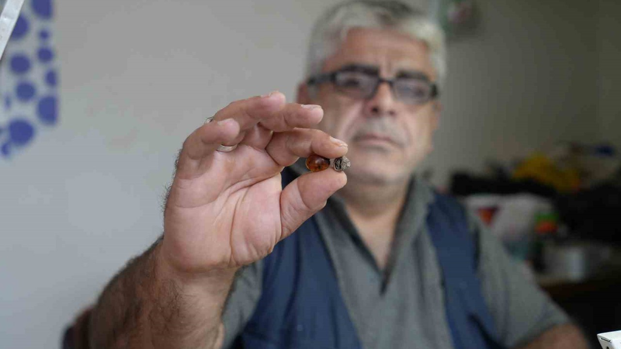 Bayburtlu kehribar ustası işlediği taşta milyonlarca yıllık böcek fosili buldu

