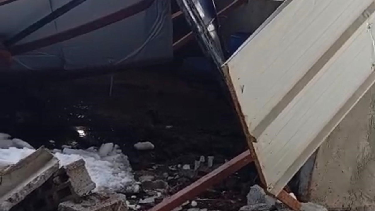 Siirt’te 5 buzağı çöken çatının altında kalarak telef oldu
