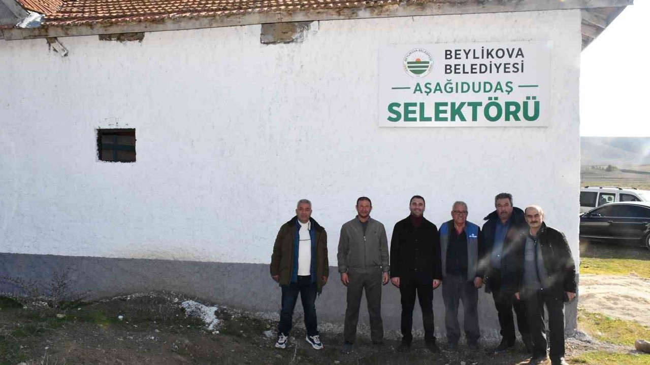 Beylikova Belediyesi’nden Aşağıdudaş Mahallesi’ne selektör tesisi
