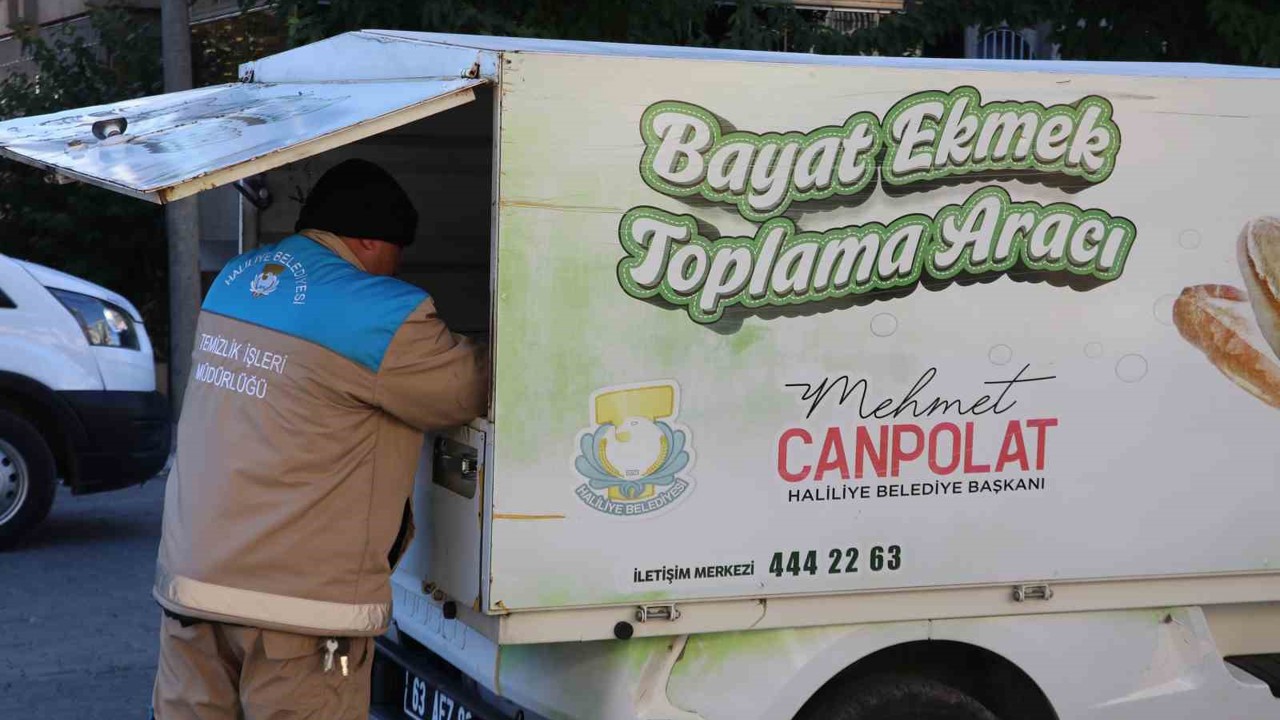 Şanlıurfa’da 24 ton ekmek israfını önlendi
