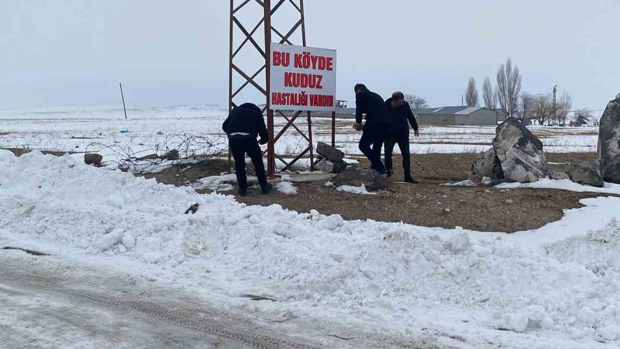 Adilcevaz’da kuduz alarmı: Bir köy karantinaya alındı
