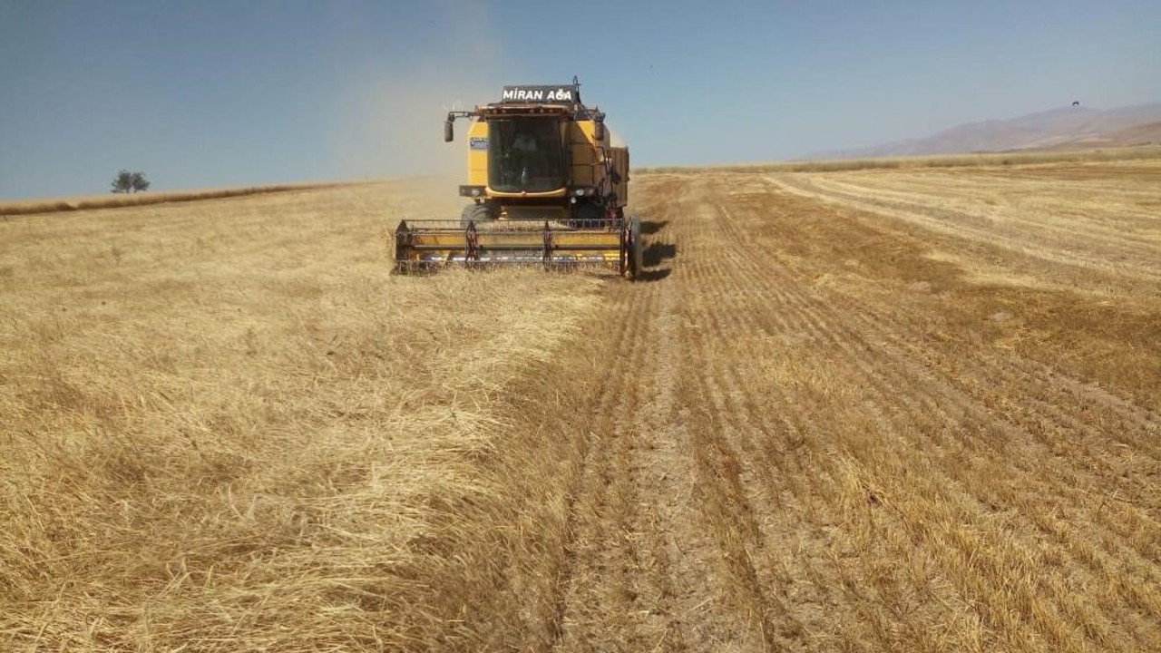 Bayburt’ta besici ve yetiştiricilere yemlik arpa satışı yapılacak
