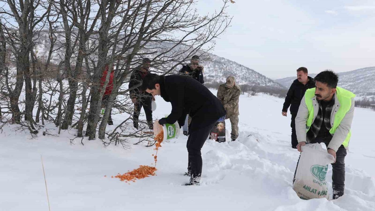 Genç’te yaban hayvanları için doğaya yem bırakıldı
