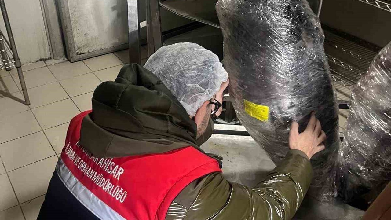 Gıda üretim ve satışı yapan işletmelerine yönelik denetim
