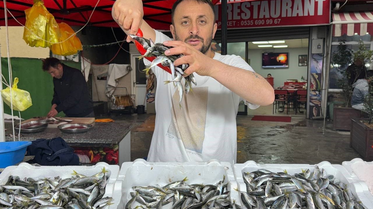 Zonguldak’ta istavrit tezgahta 100 liradan satıldı
