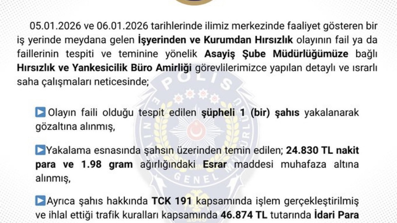 Bingöl’de hırsızlık yapan şüpheli tutuklandı

