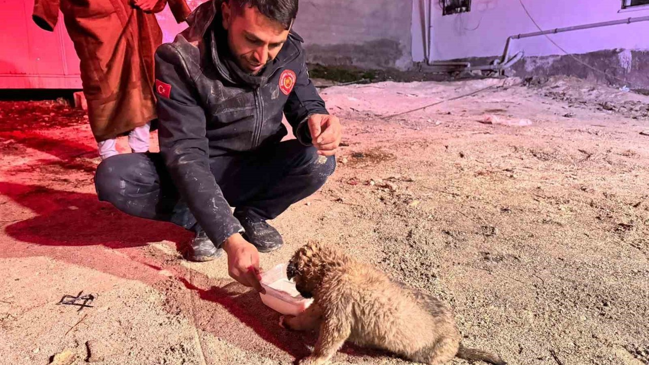 Şanlıurfa’da 20 metrelik sondaj kuyusuna düşen yavru köpek kurtarıldı
