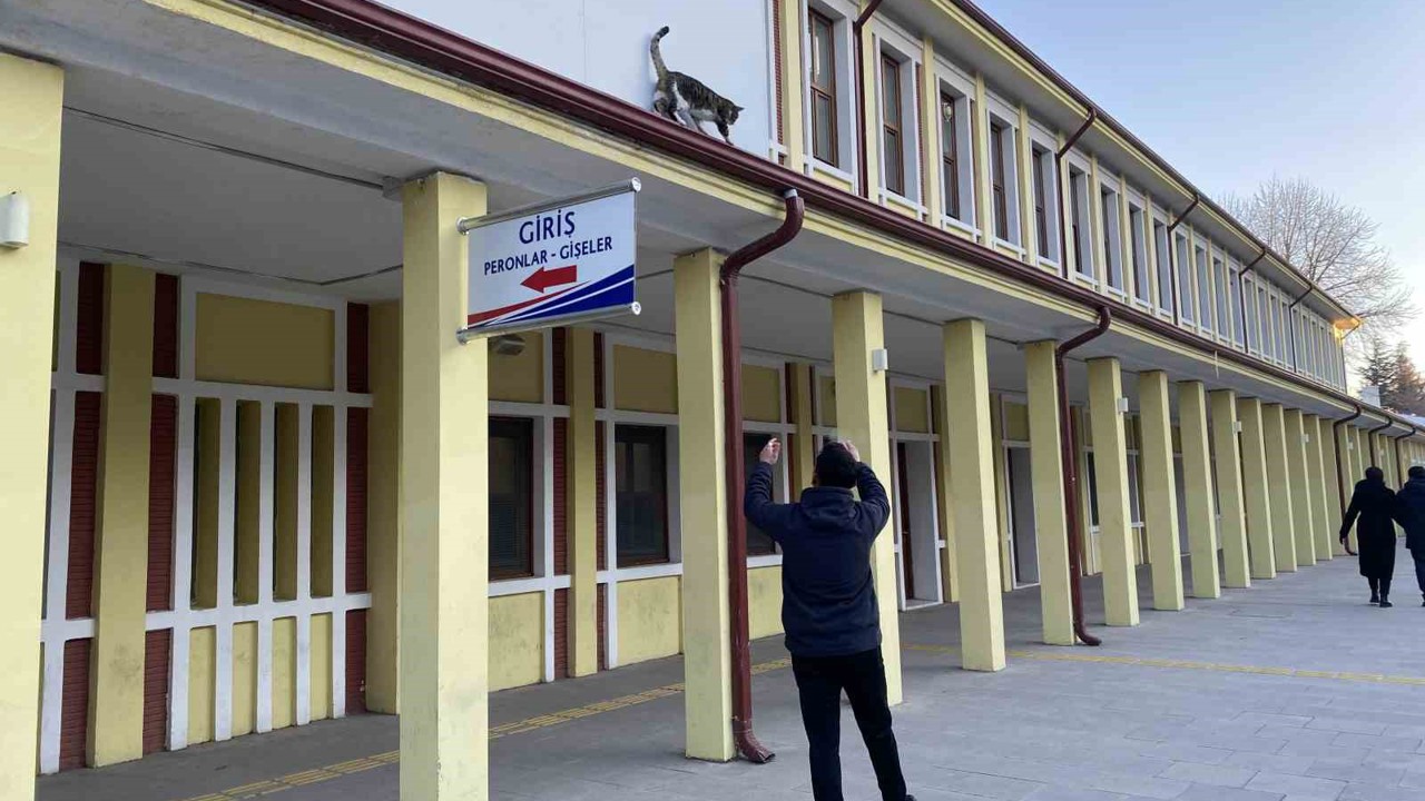 Çatıda mahsur kalmış gibi bağırıp gençlerle oynayan kedi yine aynısını yaptı
