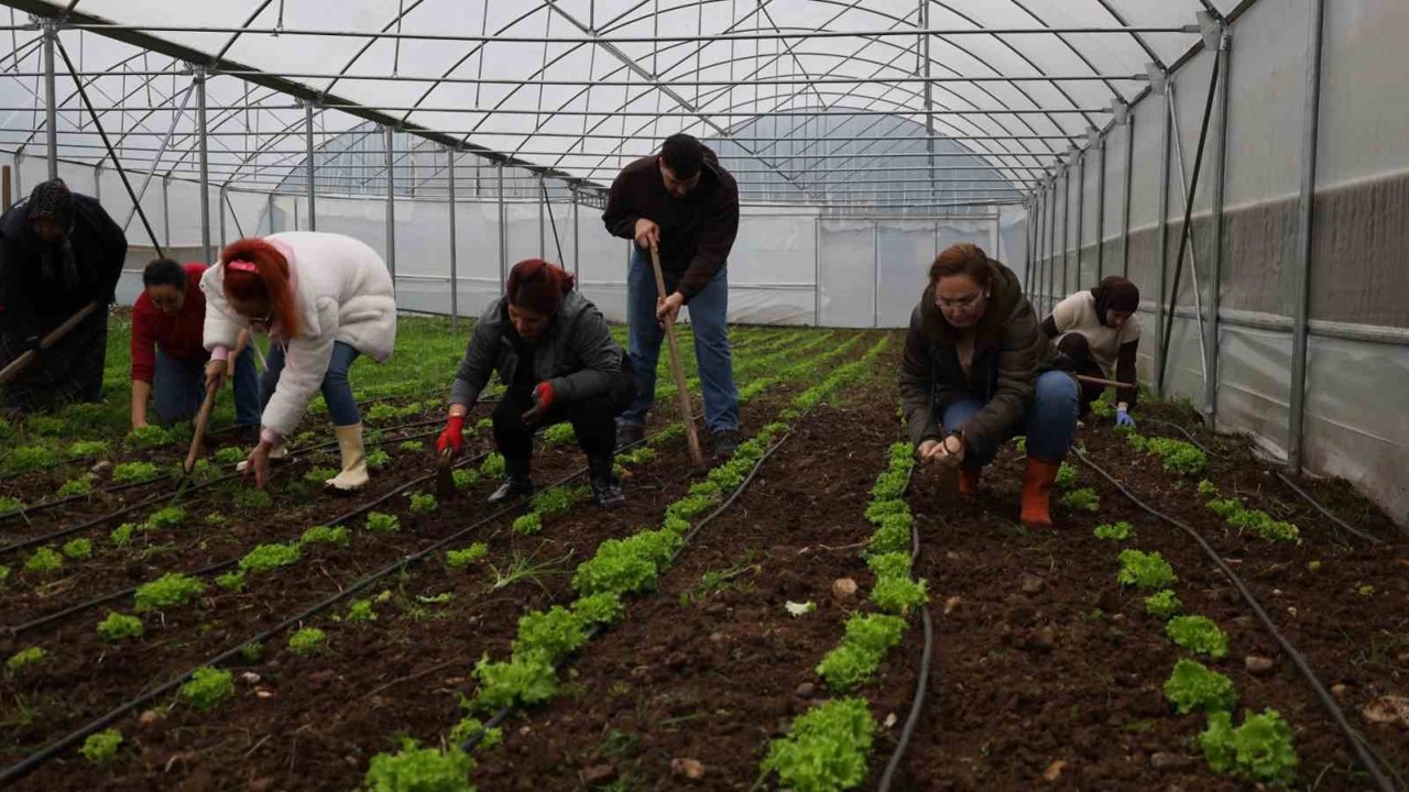 Tarım Akademisi’nde 16-55 yaş arası aday çiftçilere eğitim
