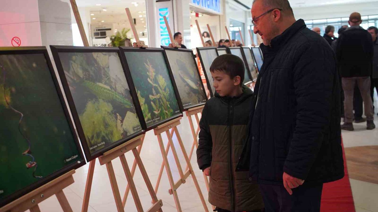 Sapanca Gölü fotoğrafları Gazze için umuda dönüştü: Geliri yetim ve öksüz çocuklara bağışlanacak
