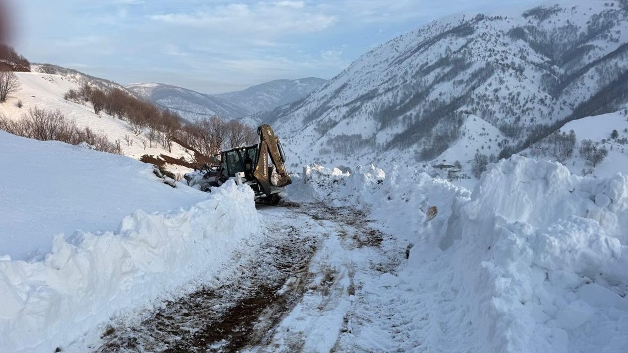 Kulp’ta kış yüzünü sert gösterdi
