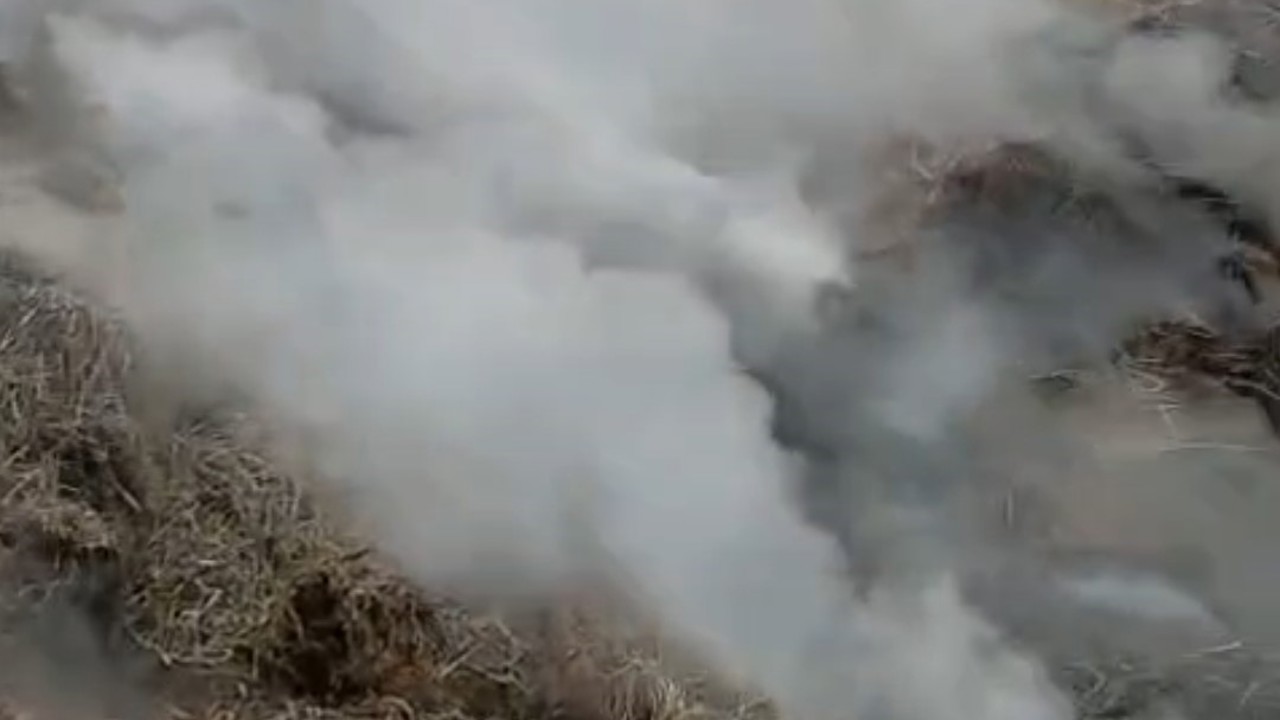 Adana’da samanlık yangını kontrol altına alındı
