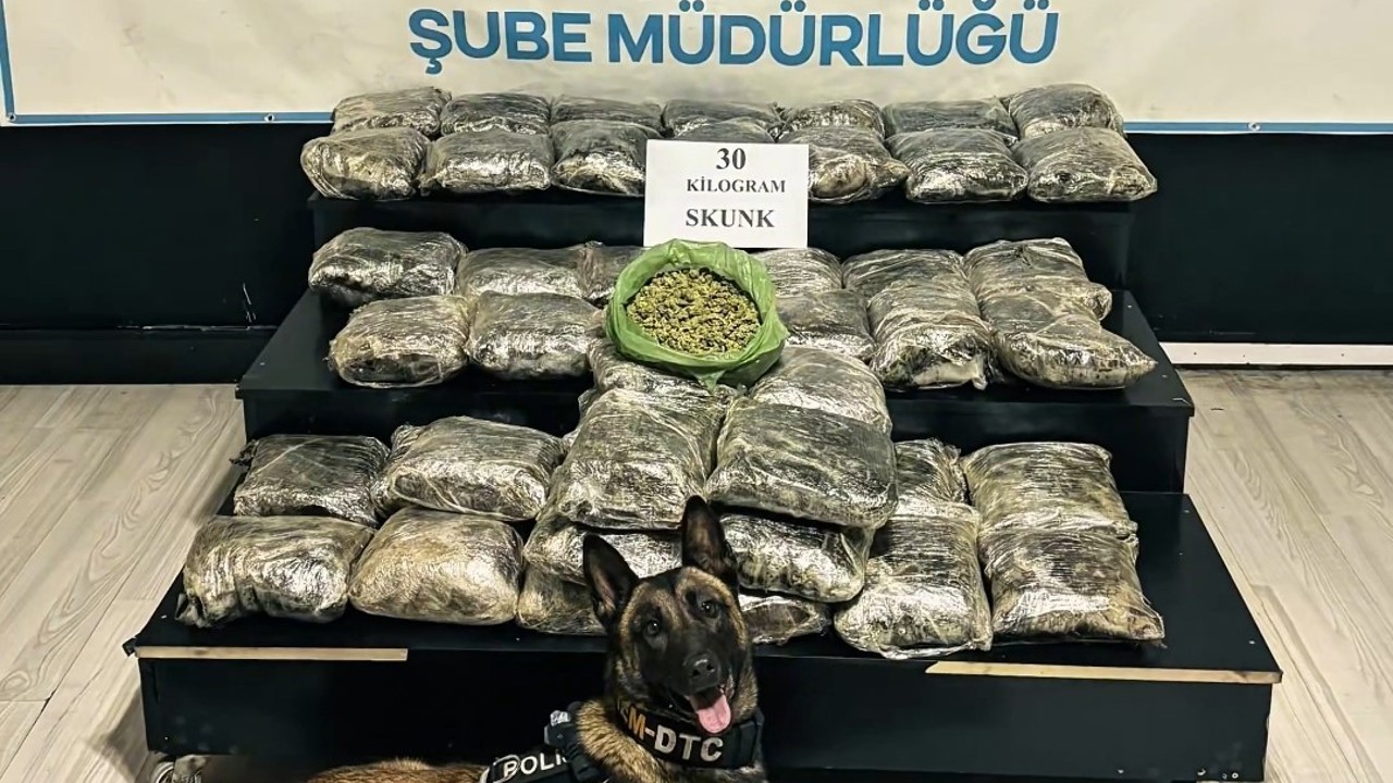 Yüksekova’da 30 kilo Skunk ele geçirildi: 2 şüpheli gözaltında
