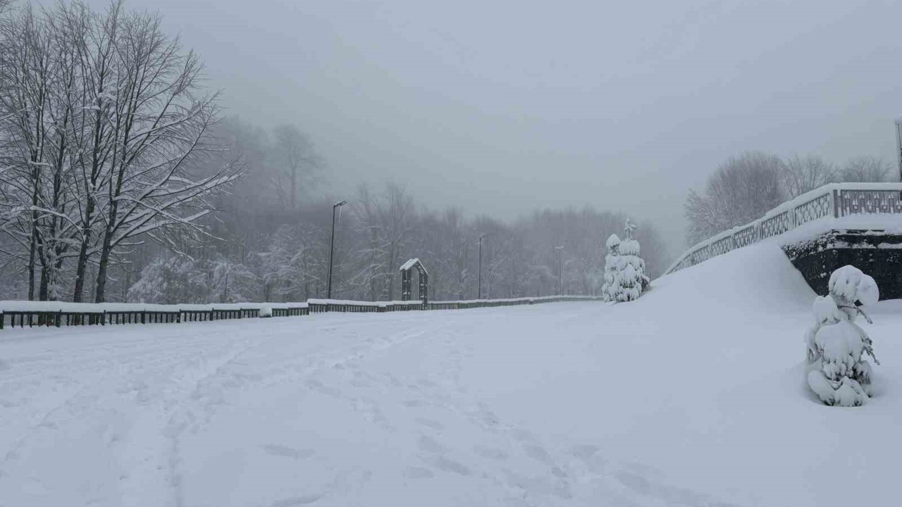 Kocaeli’nin yüksek kesimlerine lapa lapa kar yağıyor
