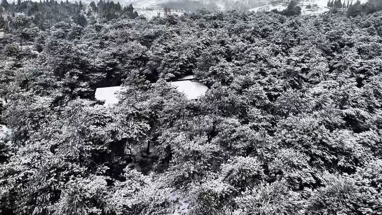 Başakşehir Şamlar Tabiat Parkı beyaza büründü
