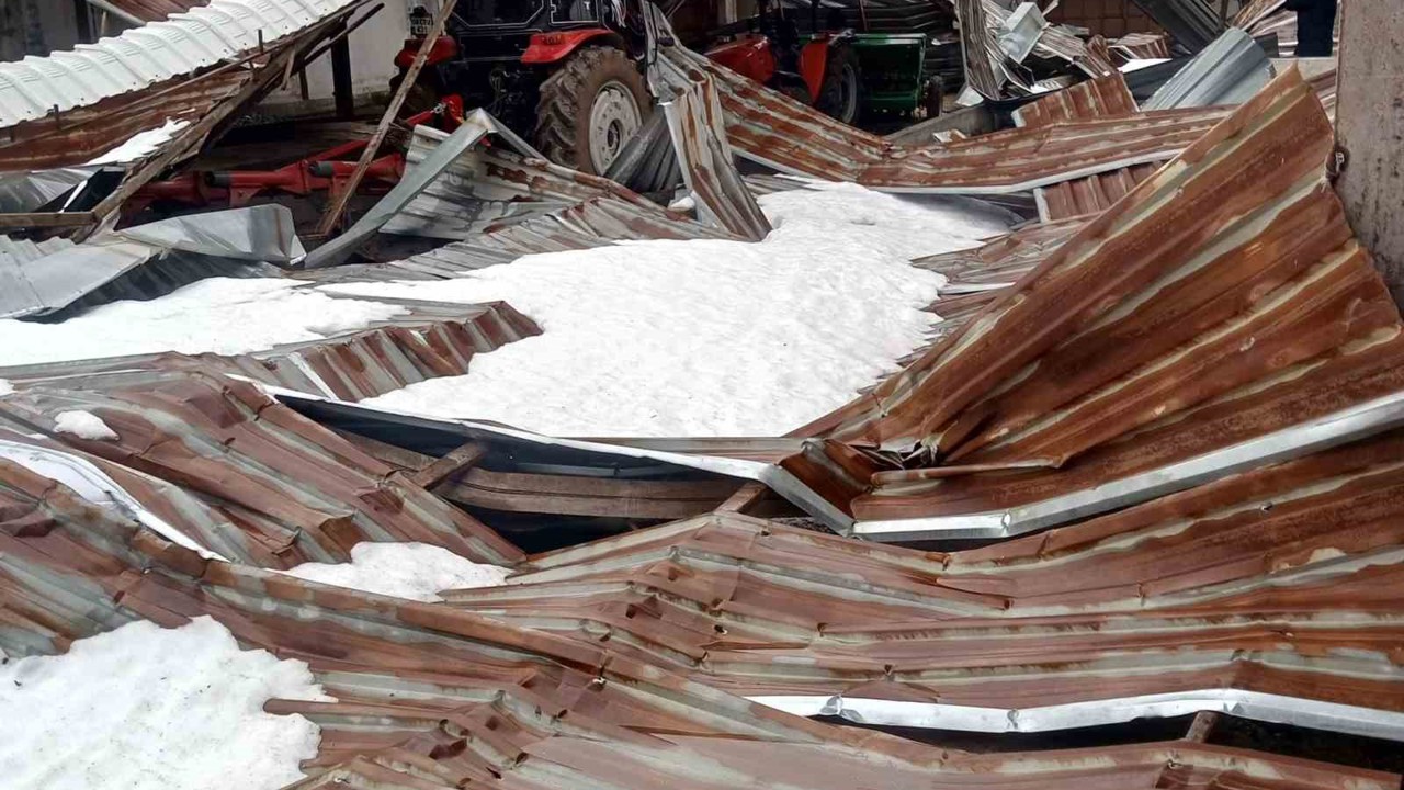Kar birikintisi mandıra çatısını çökertti: 4 ton buğday zarar gördü
