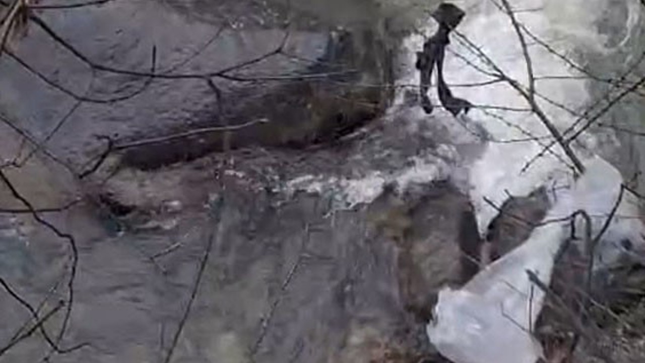 Dereli’de derede mahsur kalan köpek belediye ekiplerince kurtarıldı
