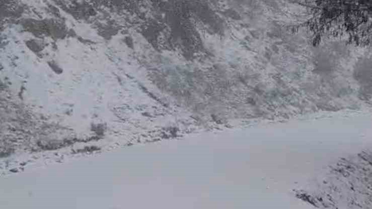 Yazın yanan orman sahası beyaza büründü
