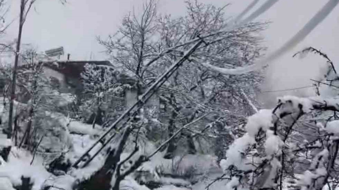 Yoğun kar elektrik direklerini devirdi
