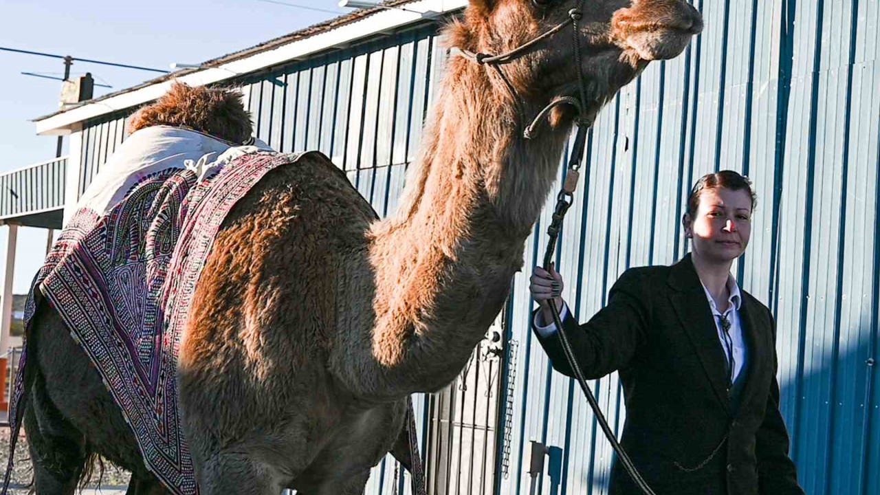 Sanatçı Mertcan Türkoğlu, Hi Jolly’nin Arizona’daki anıt mezarı başında anıldı
