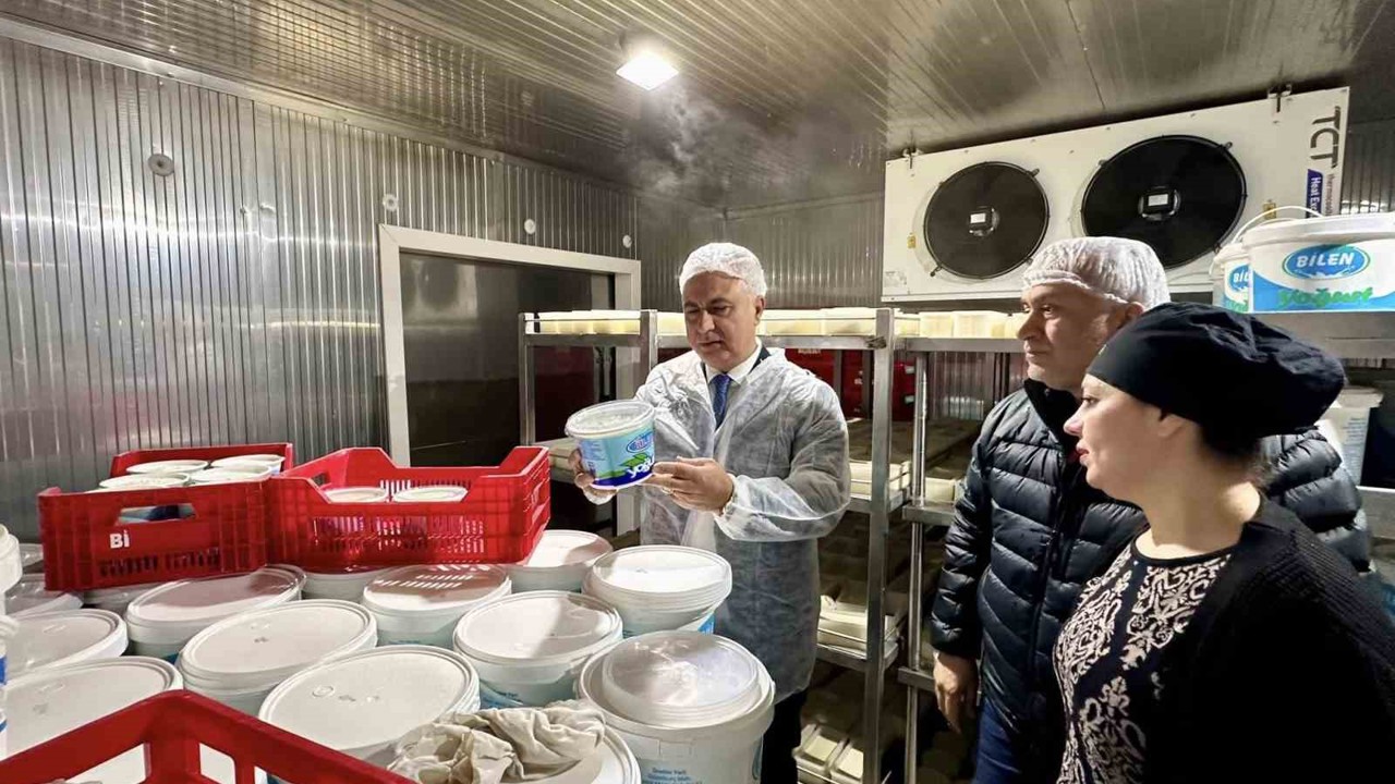 Antakya’da süt ürünleri üreten firma incelendi
