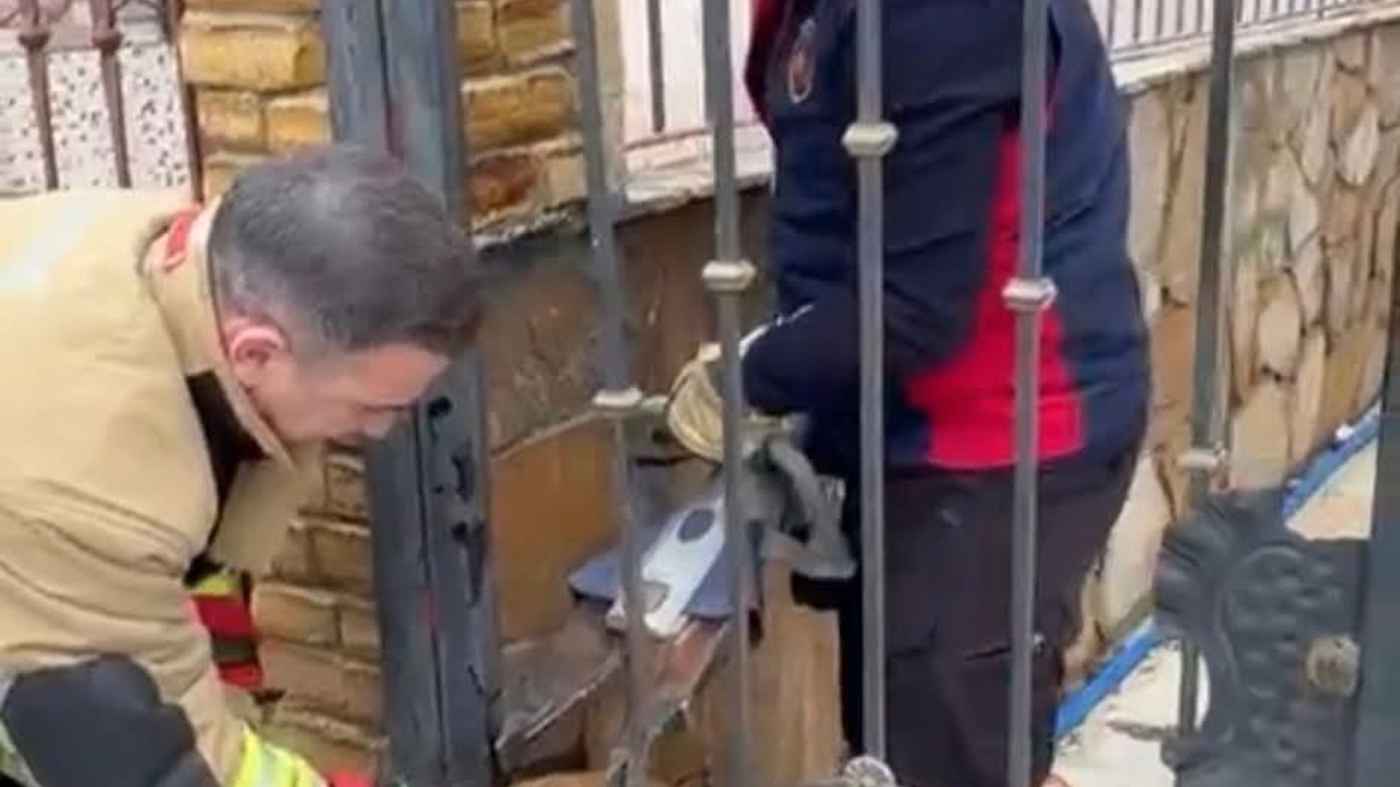 Demir korkuluklara sıkışan köpeği itfaiye kurtardı
