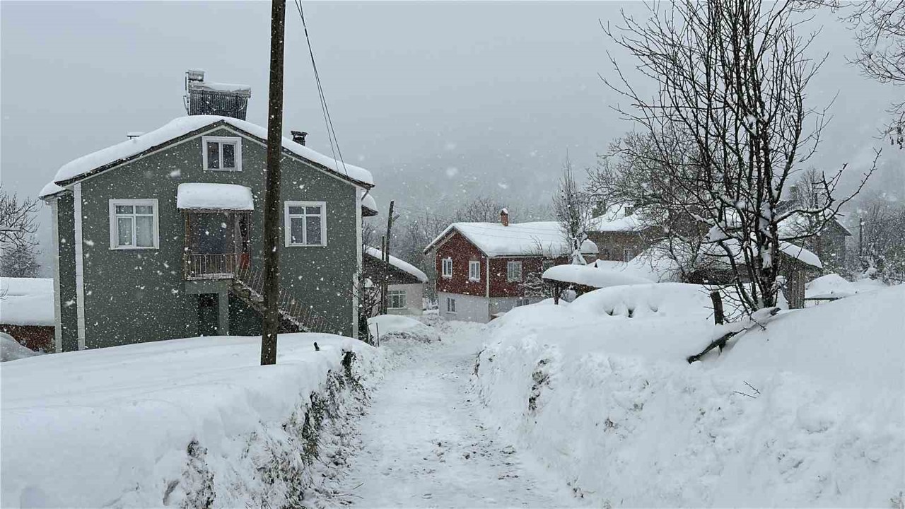 Kastamonu’da kar 167 köy yolunu ulaşıma kapattı
