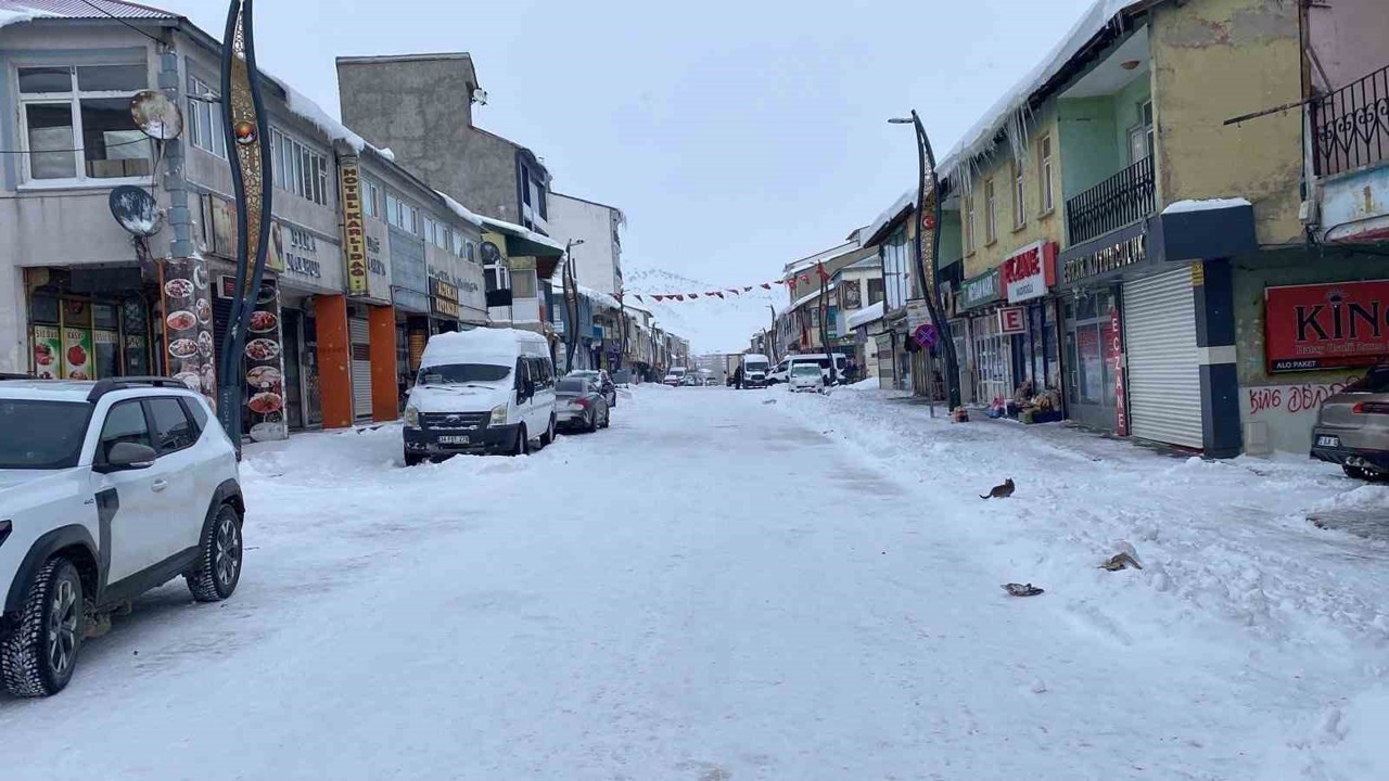 Kar ve buzla kaplı Karlıova sessizliğe büründü
