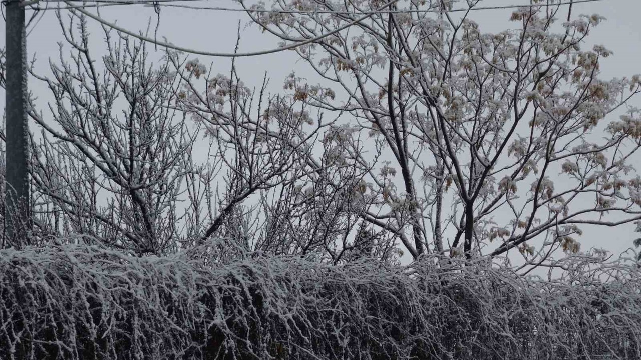 Gercüş beyaz örtüyle kaplandı
