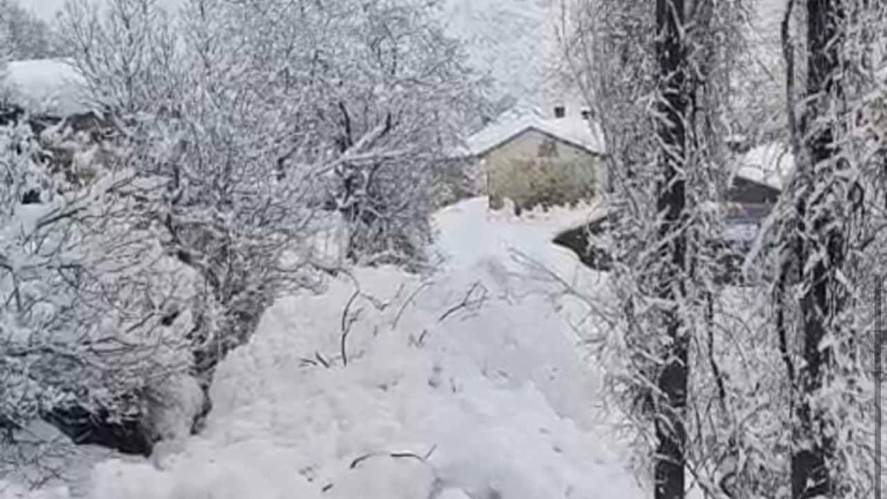Yüksekova’da çığ yerleşim yerine indi: Facianın eşiğinden dönüldü
