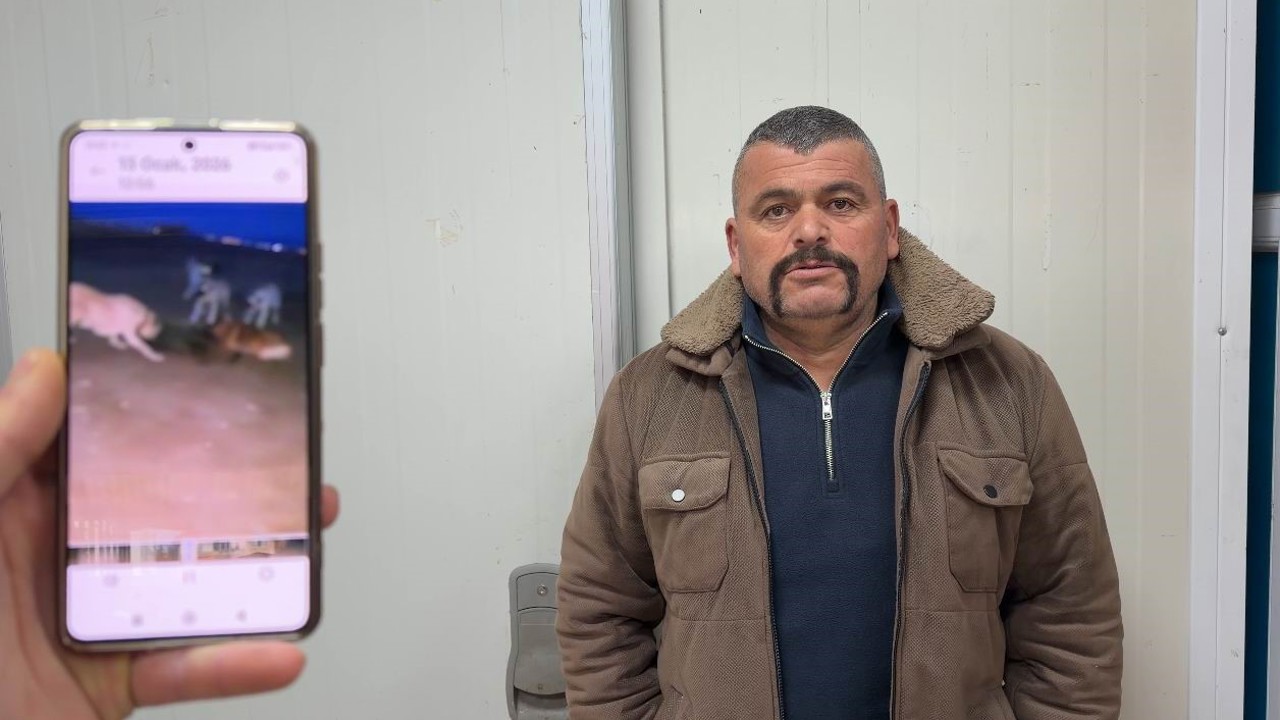 Yaban domuzunu elleriyle yakaladı
